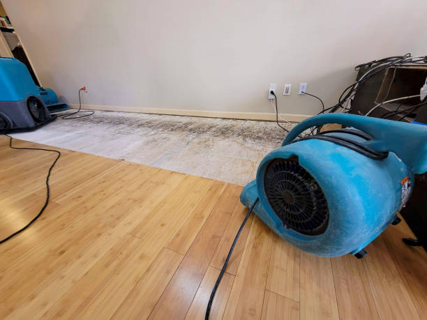 Reliable Basement Flood Cleanup contractor in Westport, NC by Hirex Water Damage