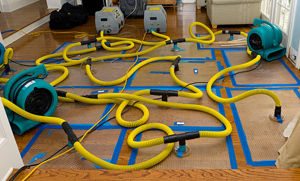 Professional Basement Flood Cleanup technician working in Westport, NC